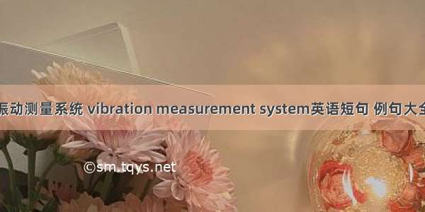 振动测量系统 vibration measurement system英语短句 例句大全