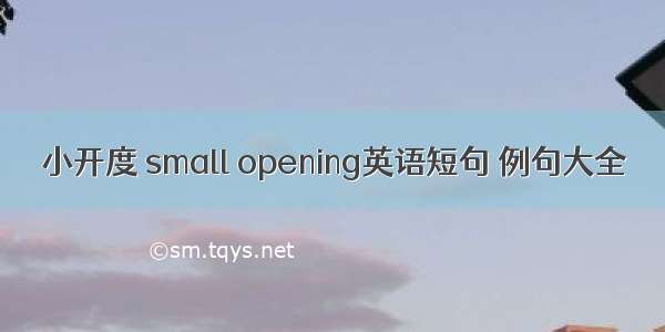 小开度 small opening英语短句 例句大全