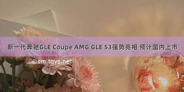 新一代奔驰GLE Coupe AMG GLE 53强势亮相 预计国内上市