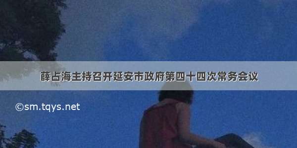 薛占海主持召开延安市政府第四十四次常务会议