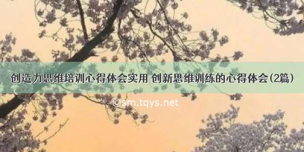 创造力思维培训心得体会实用 创新思维训练的心得体会(2篇)