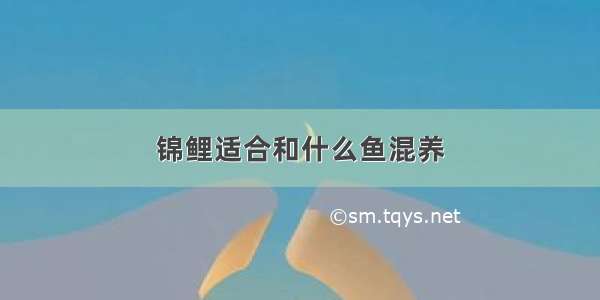 锦鲤适合和什么鱼混养