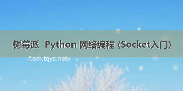树莓派  Python 网络编程 (Socket入门)