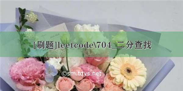 [刷题]leetcode\704_二分查找