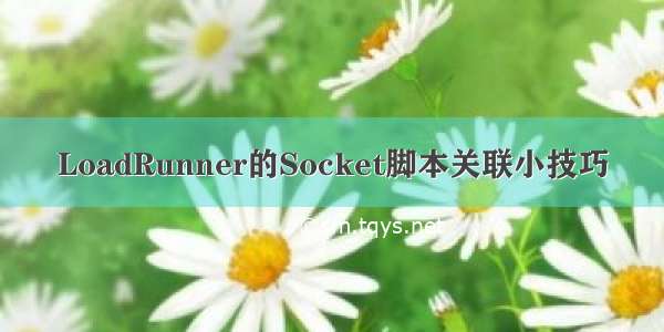 LoadRunner的Socket脚本关联小技巧