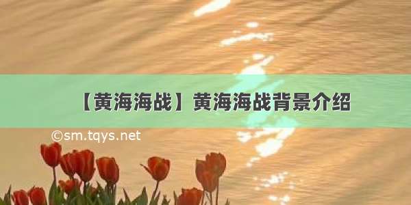 【黄海海战】黄海海战背景介绍