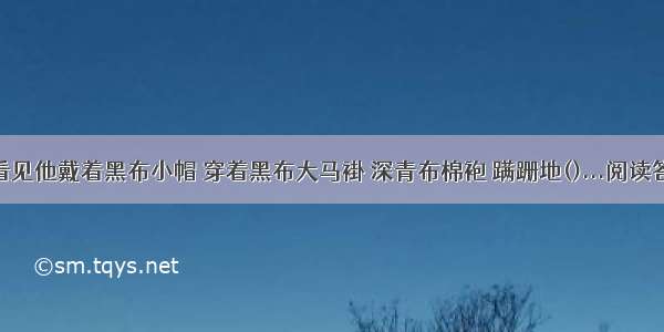 我看见他戴着黑布小帽 穿着黑布大马褂 深青布棉袍 蹒跚地()...阅读答案