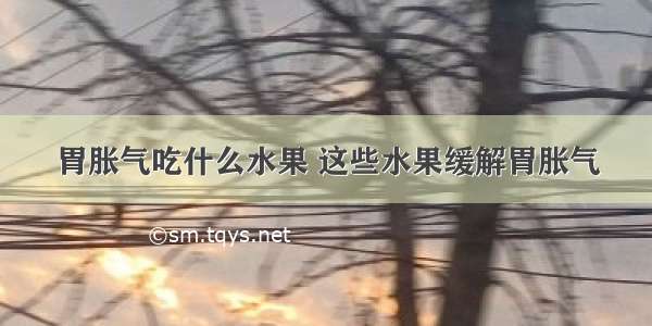 胃胀气吃什么水果 这些水果缓解胃胀气