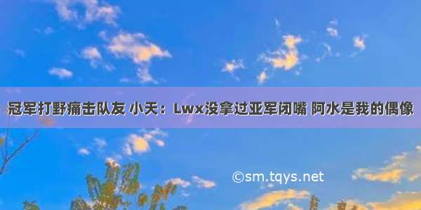 冠军打野痛击队友 小天：Lwx没拿过亚军闭嘴 阿水是我的偶像