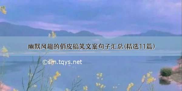 幽默风趣的俏皮搞笑文案句子汇总(精选11篇)