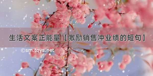 生活文案正能量【激励销售冲业绩的短句】