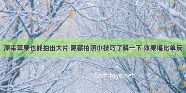 原来苹果也能拍出大片 隐藏拍照小技巧了解一下 效果堪比单反