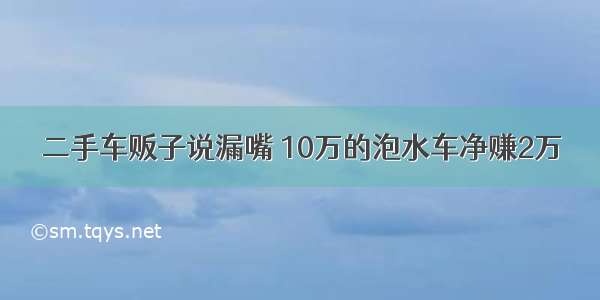 二手车贩子说漏嘴 10万的泡水车净赚2万