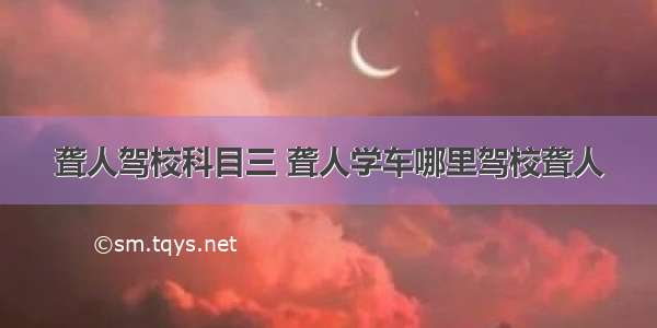 聋人驾校科目三 聋人学车哪里驾校聋人