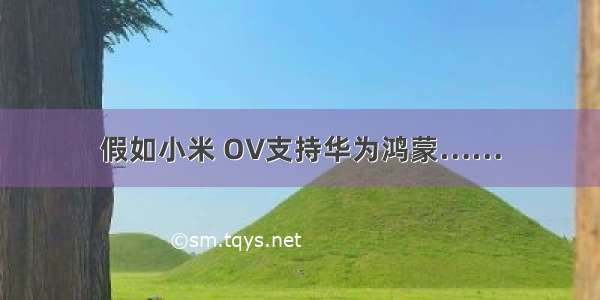 假如小米 OV支持华为鸿蒙……