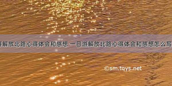 一日游解放北路心得体会和感想 一日游解放北路心得体会和感想怎么写(九篇)