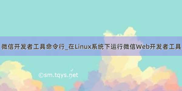 微信开发者工具命令行_在Linux系统下运行微信Web开发者工具