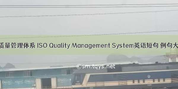 ISO质量管理体系 ISO Quality Management System英语短句 例句大全