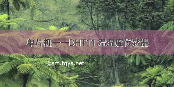 单片机——DHT11 温湿度传感器