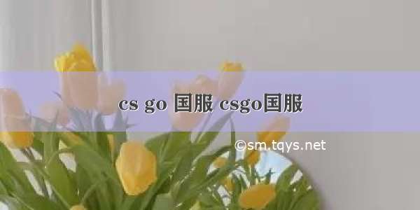 cs go 国服 csgo国服