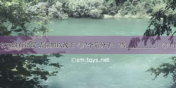 下列化学用语书写均有错误 请你加以改正．①2个氮分子：2N________；②1个钙离子：Ca