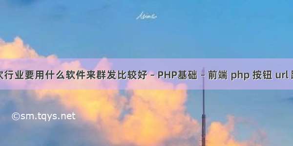 餐饮行业要用什么软件来群发比较好 – PHP基础 – 前端 php 按钮 url 跳转