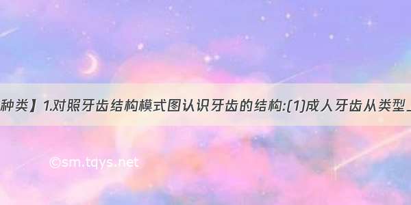 【牙齿种类】1.对照牙齿结构模式图认识牙齿的结构:(1)成人牙齿从类型上分为...