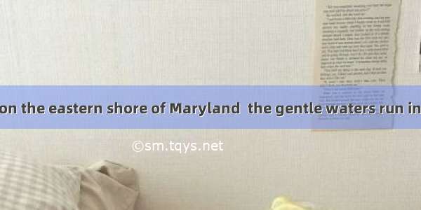 Where we live  on the eastern shore of Maryland  the gentle waters run in and out like fin