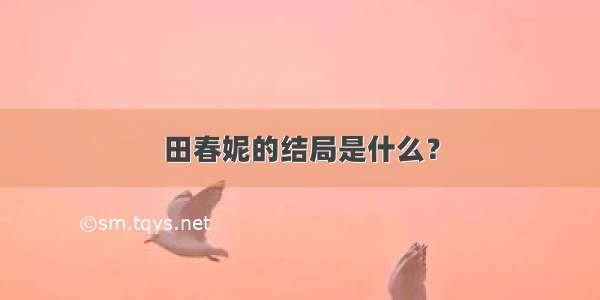 田春妮的结局是什么？