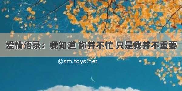 爱情语录：我知道 你并不忙 只是我并不重要