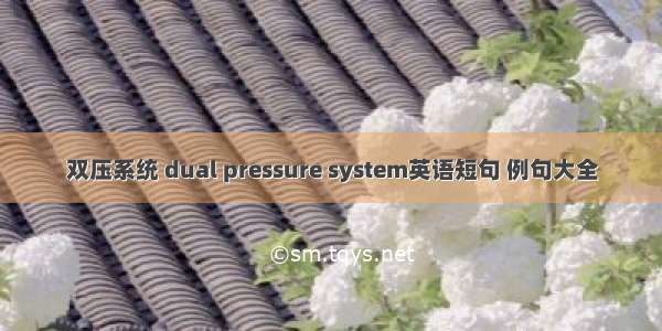 双压系统 dual pressure system英语短句 例句大全