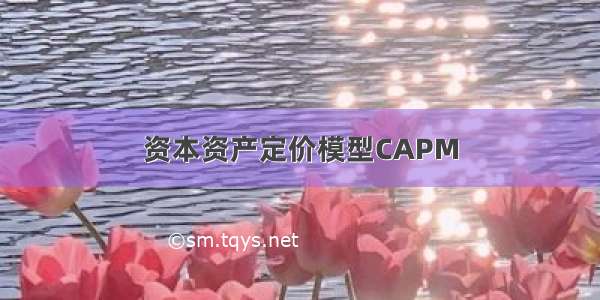 资本资产定价模型CAPM