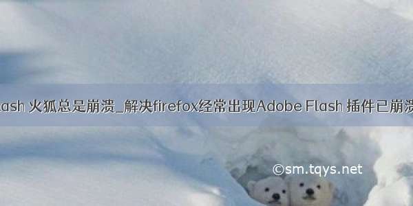 flash 火狐总是崩溃_解决firefox经常出现Adobe Flash 插件已崩溃