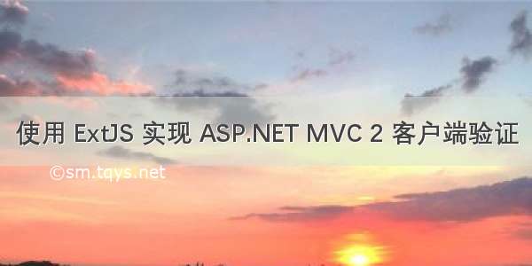 使用 ExtJS 实现 ASP.NET MVC 2 客户端验证