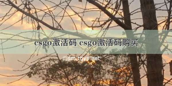 csgo激活码 csgo激活码购买