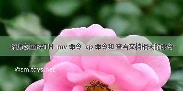 环境变量PATH  mv 命令  cp 命令和 查看文档相关的命令