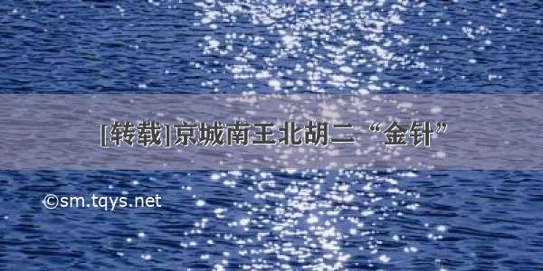 [转载]京城南王北胡二“金针”