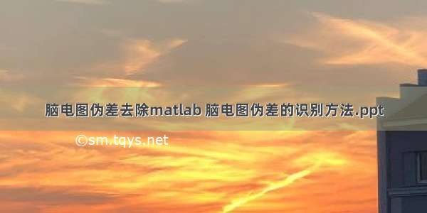 脑电图伪差去除matlab 脑电图伪差的识别方法.ppt