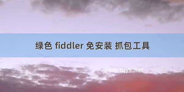 绿色 fiddler 免安装 抓包工具