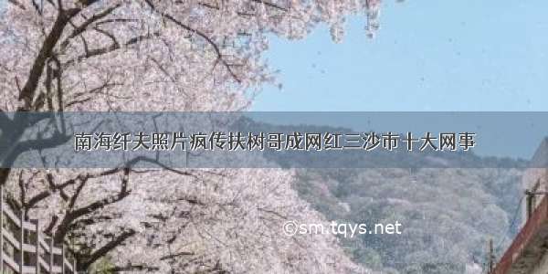 南海纤夫照片疯传扶树哥成网红三沙市十大网事