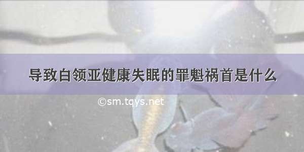 导致白领亚健康失眠的罪魁祸首是什么