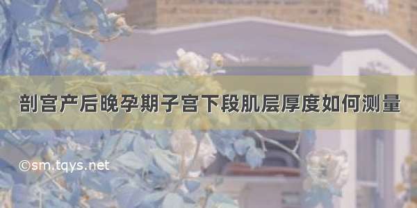 剖宫产后晚孕期子宫下段肌层厚度如何测量