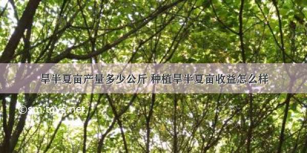 旱半夏亩产量多少公斤 种植旱半夏亩收益怎么样