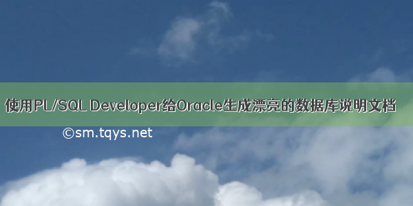 使用PL/SQL Developer给Oracle生成漂亮的数据库说明文档