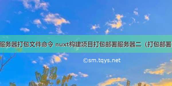 服务器打包文件命令 nuxt构建项目打包部署服务器二（打包部署）