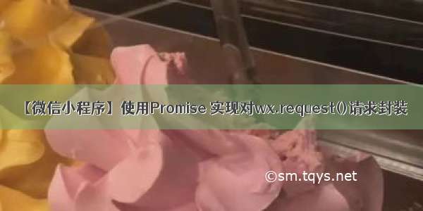 【微信小程序】使用Promise 实现对wx.request()请求封装