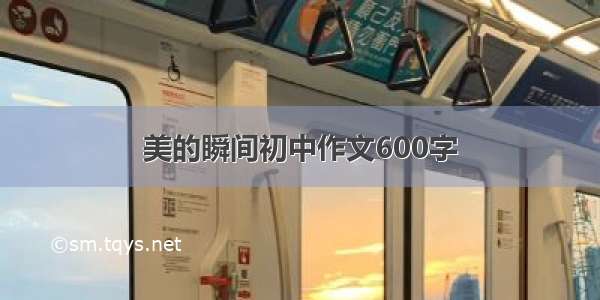 美的瞬间初中作文600字