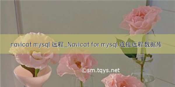 navicat mysql 远程_Navicat for mysql 连接远程数据库