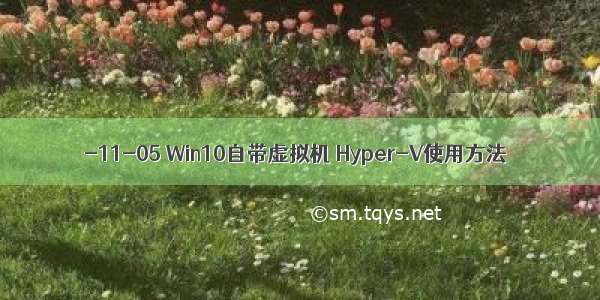 -11-05 Win10自带虚拟机 Hyper-V使用方法