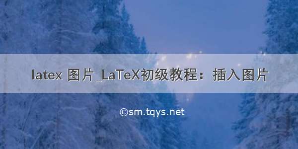 latex 图片_LaTeX初级教程：插入图片
